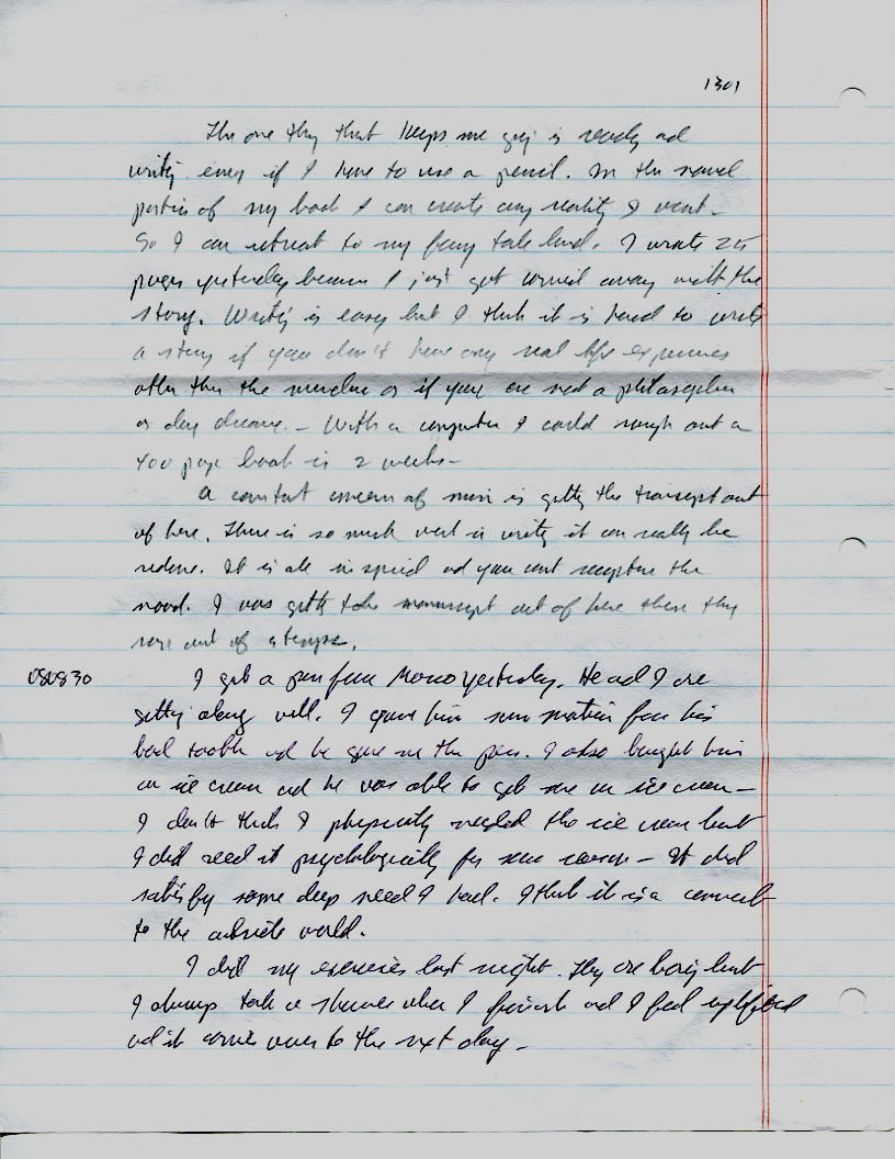 Dr John WorldPeace 2008 Prison Journal